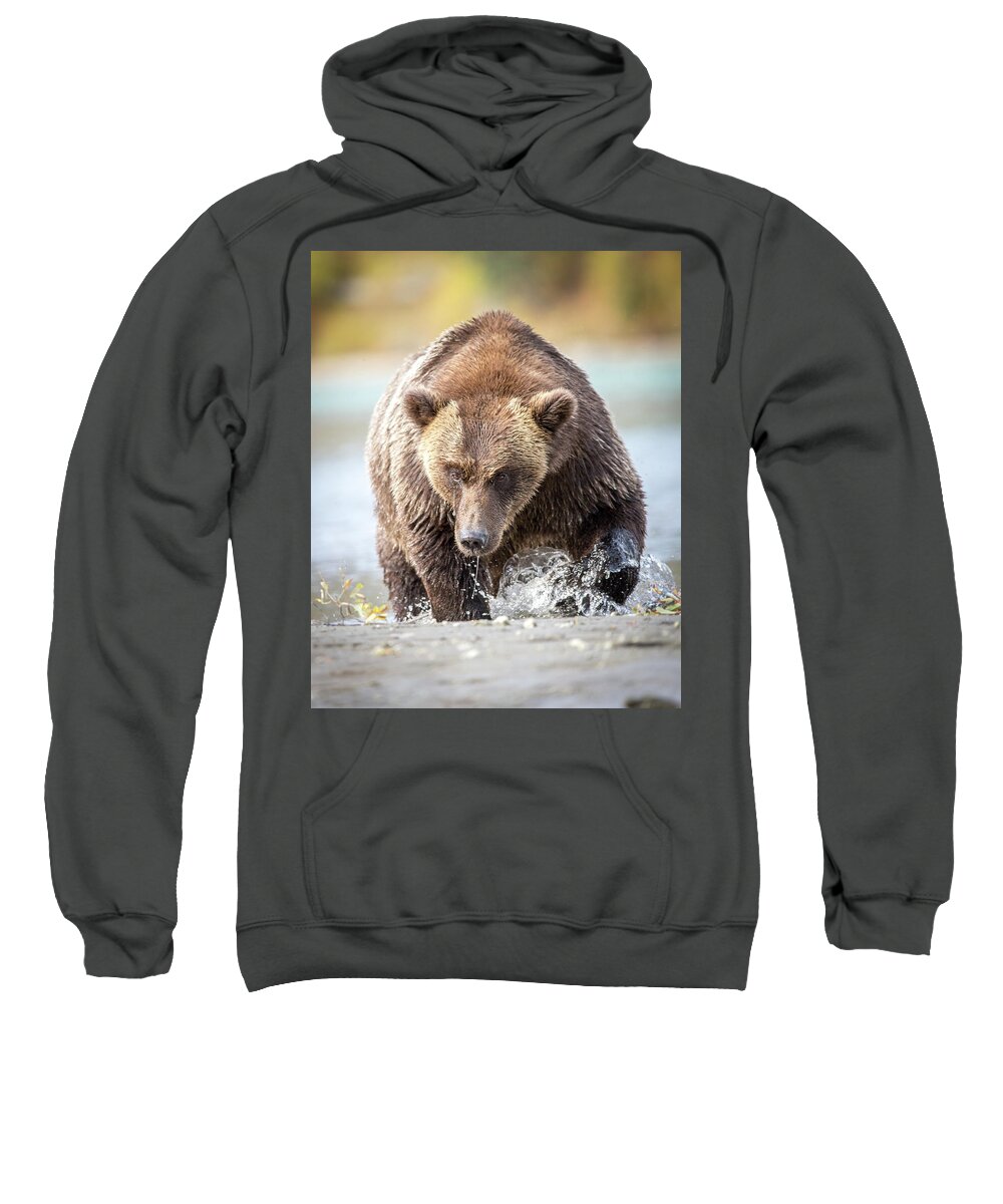 Alaska Sweatshirt featuring the photograph Down Low by Kevin Dietrich