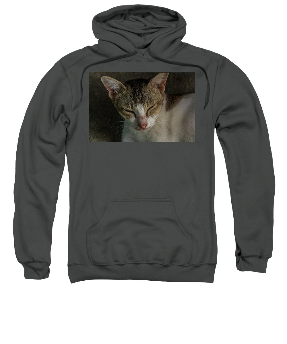 Beautiful Sweatshirt featuring the photograph A Beautiful Female Cat #4 by Mangge Totok