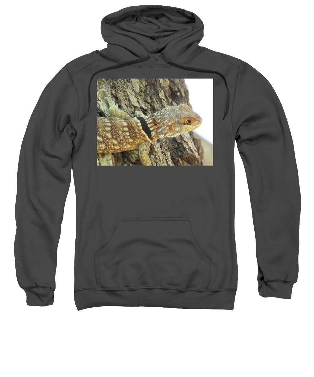 Africa Sweatshirt featuring the photograph 68 by Eric Pengelly