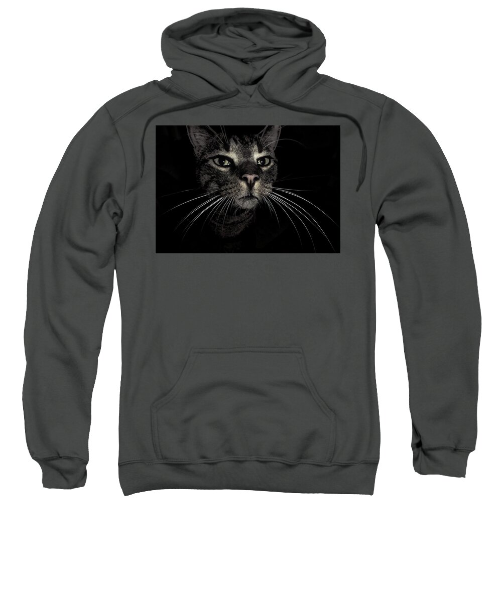 Cat Sweatshirt featuring the photograph A Whiskered Cat by Lyuba Filatova