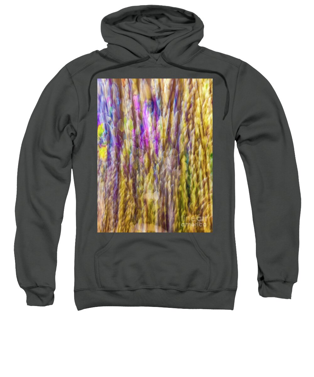Abstract Sweatshirt featuring the photograph Abstract food pastel by Phillip Rubino