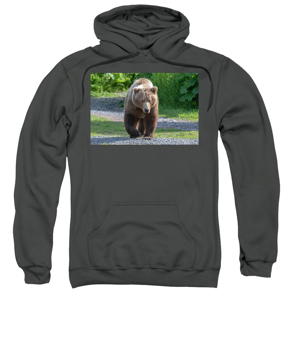 Bear Sweatshirt featuring the photograph Alaskan Brown Bear walking towards you by Mark Hunter