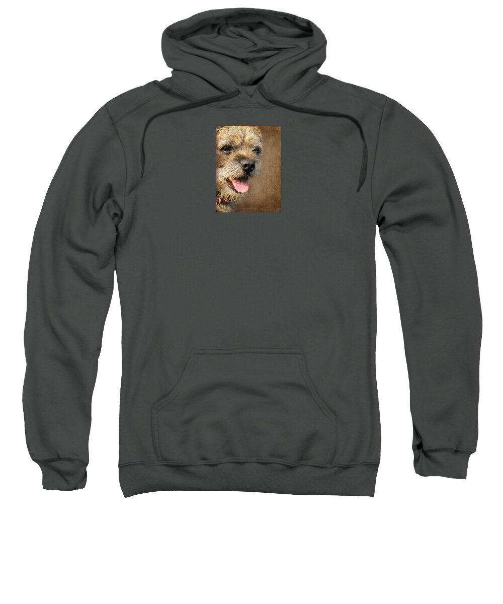 Dog Sweatshirt featuring the photograph Alfie by Diane Chandler