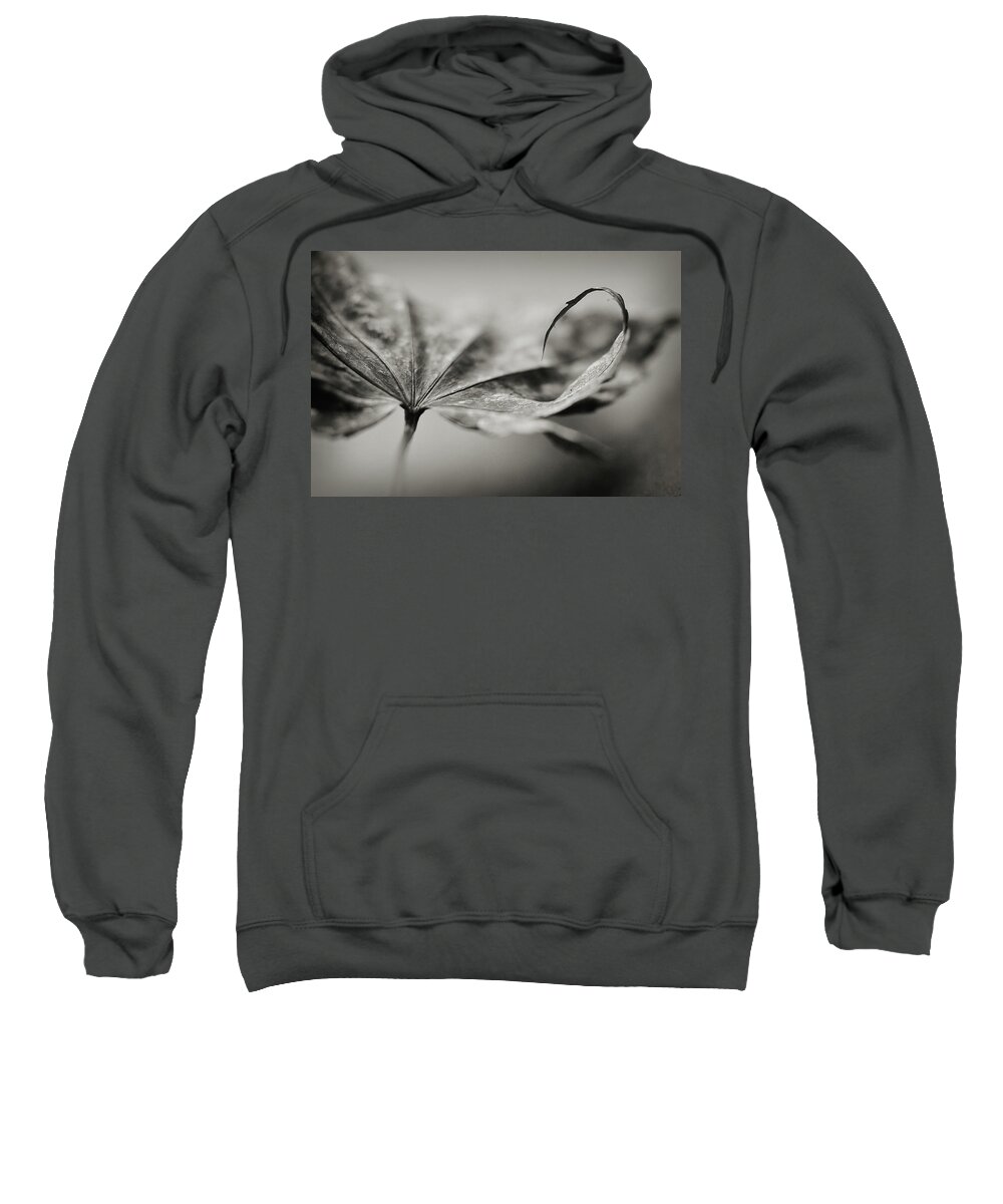 Black And White Sweatshirt featuring the photograph All In by Michelle Wermuth