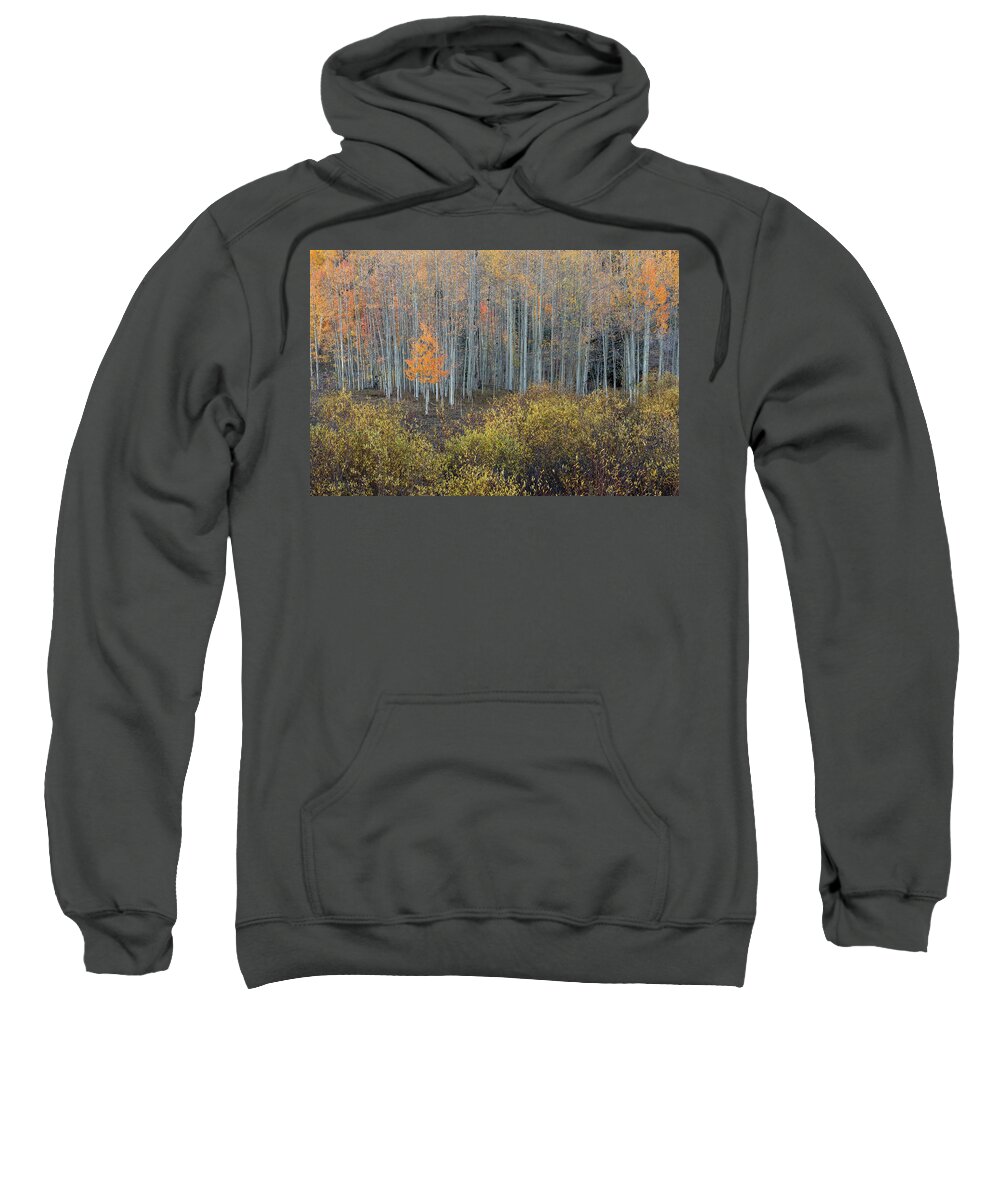 Colorado Sweatshirt featuring the photograph Alone in the Crowd by Angela Moyer