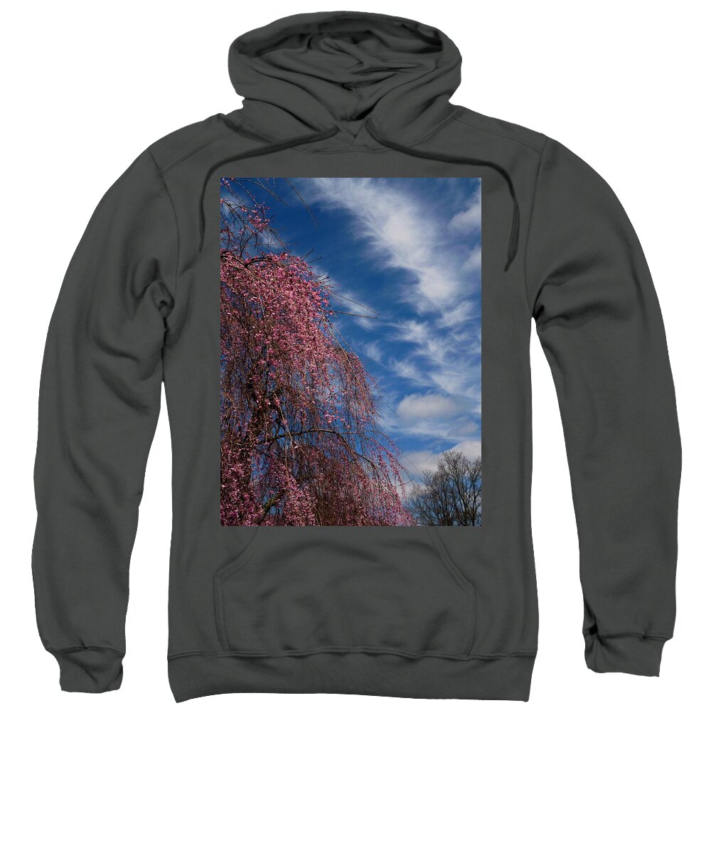 April Sky Sweatshirt featuring the photograph April Sky Deep Hues by Mike McBrayer