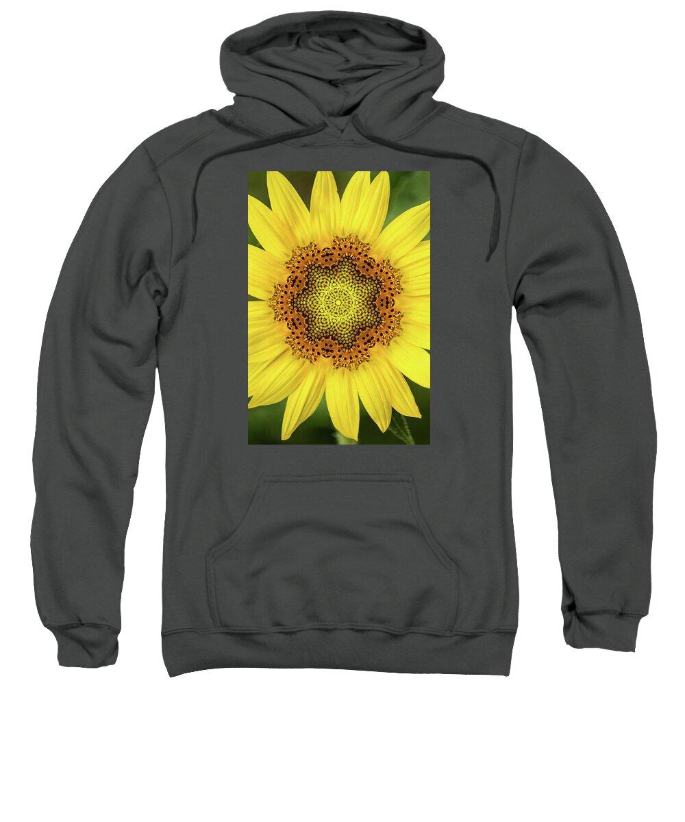Flower Sweatshirt featuring the photograph Artistic 2 Perfect Sunflower by Don Johnson