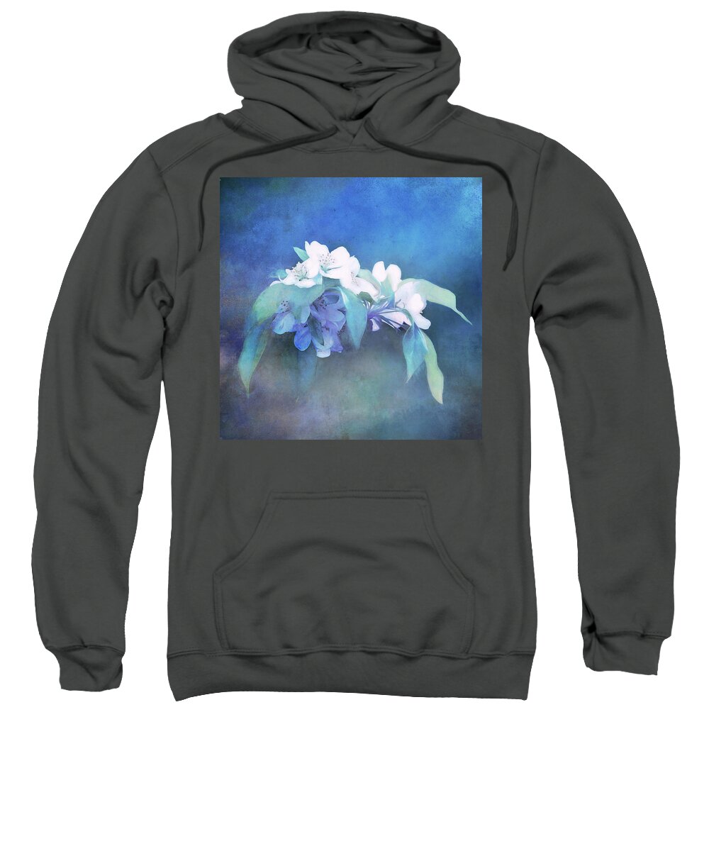 Crabapple Blossoms Sweatshirt featuring the photograph Painted Crabapple Blossoms by Anita Pollak