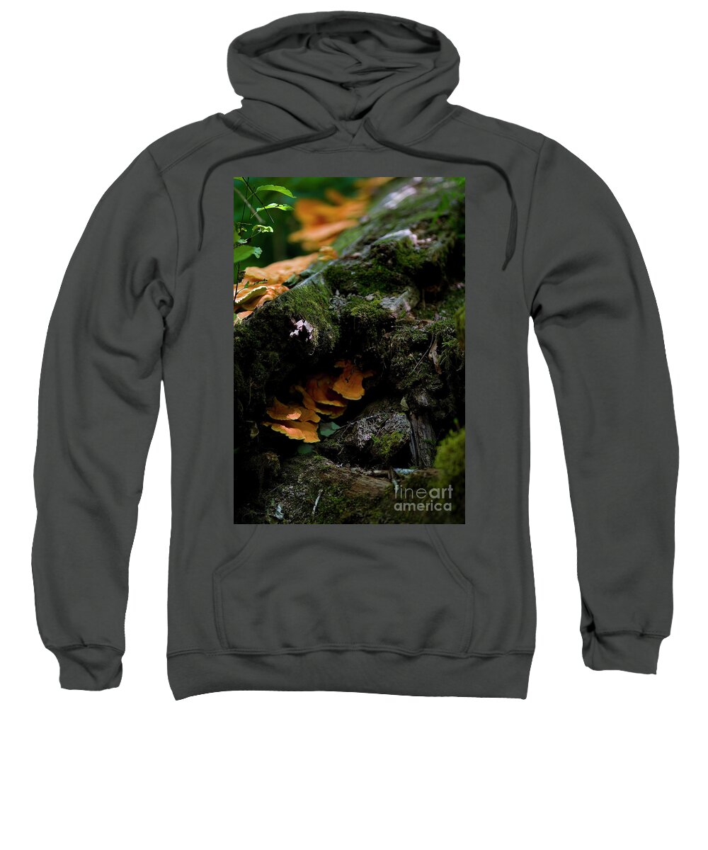 Outsideshooter Sweatshirt featuring the photograph Face, Asleep in a Log by Rich Collins