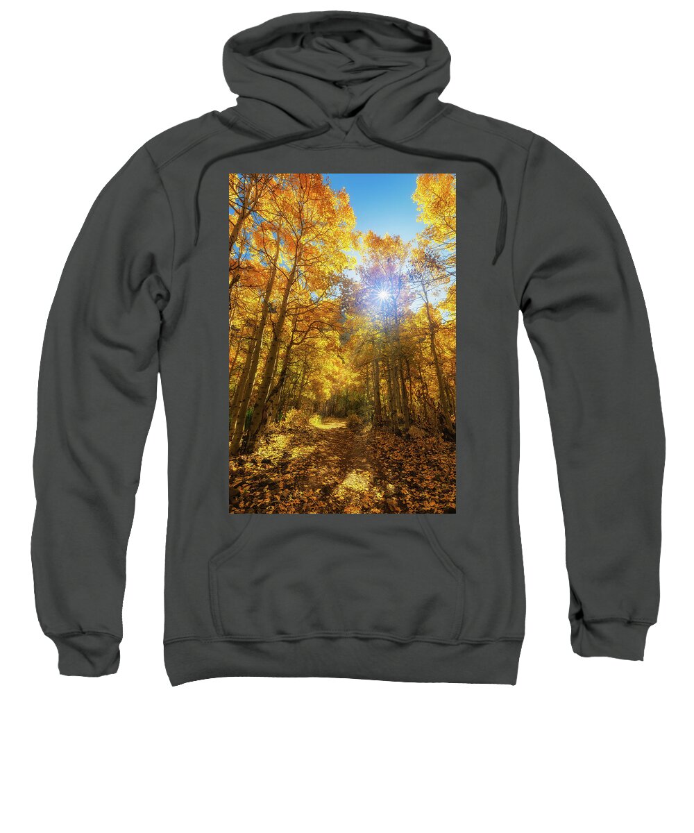 Trees Sweatshirt featuring the photograph Aspen Lane by Tassanee Angiolillo