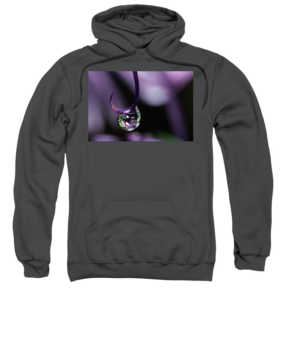Macro Water Drop Sweatshirt featuring the photograph Asters by Michelle Wermuth