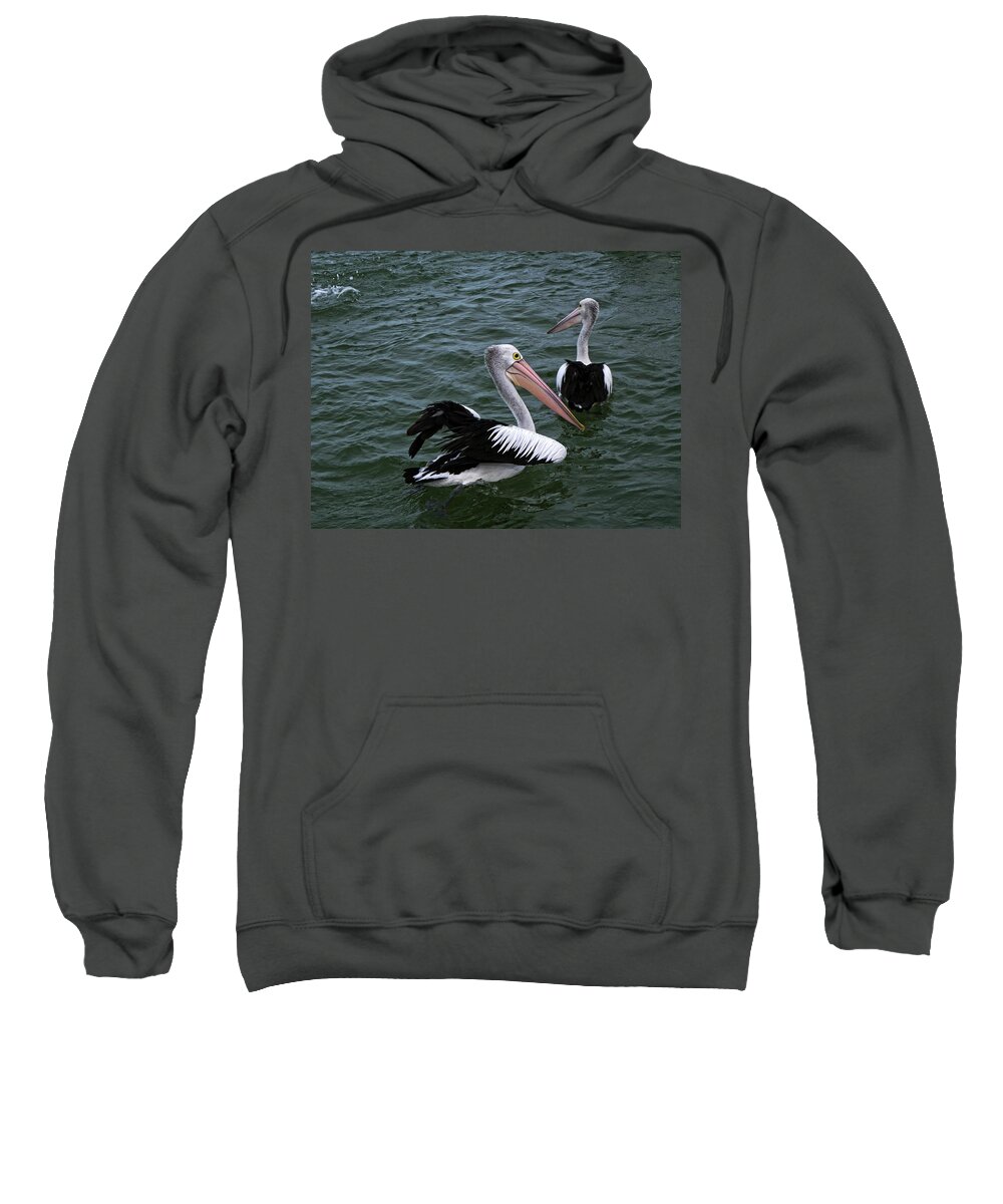 Wildlife Sweatshirt featuring the photograph Australian Pelicans by Martin Smith