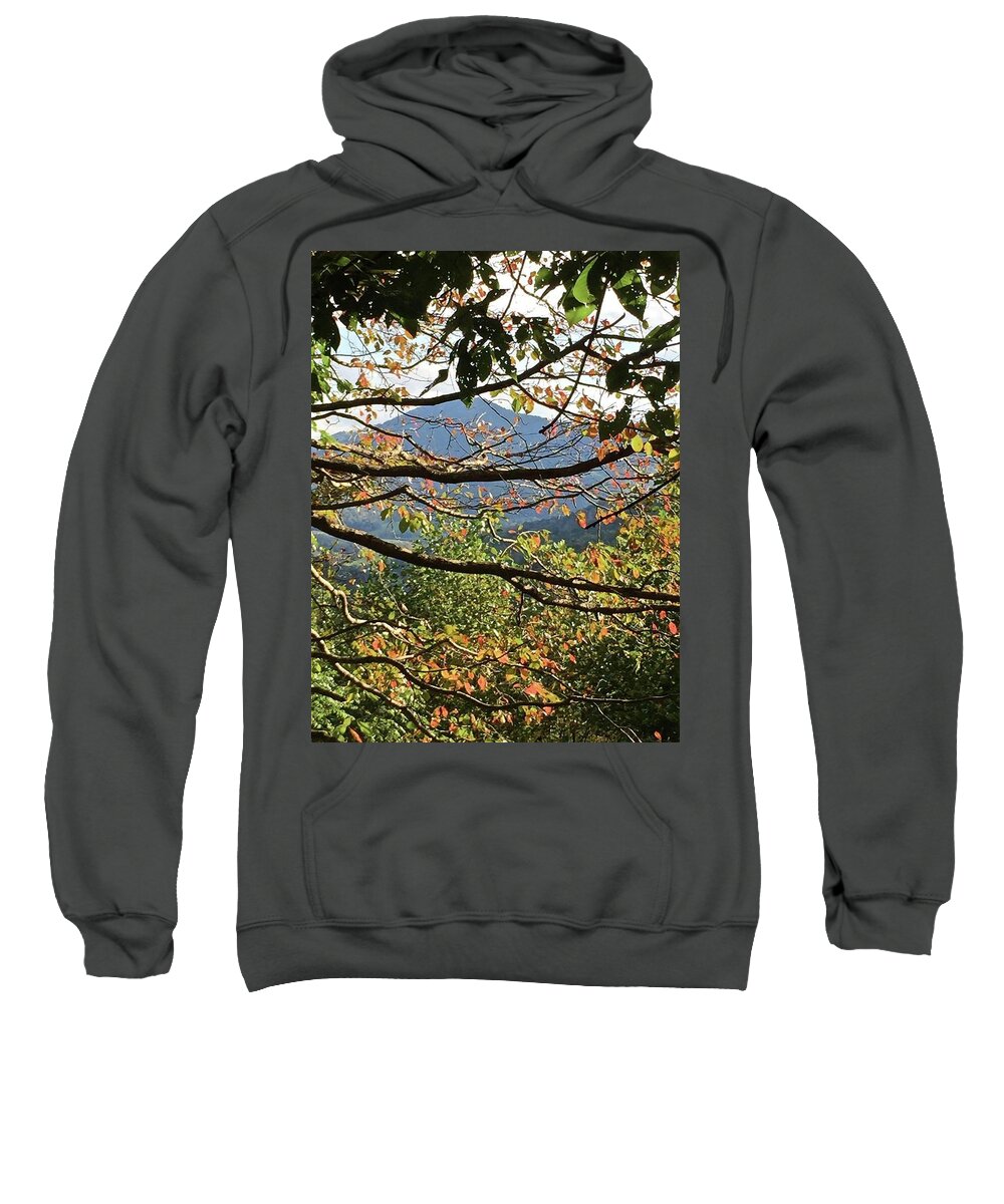 Mountain Sweatshirt featuring the photograph Autumn Mountain by Kathy Ozzard Chism