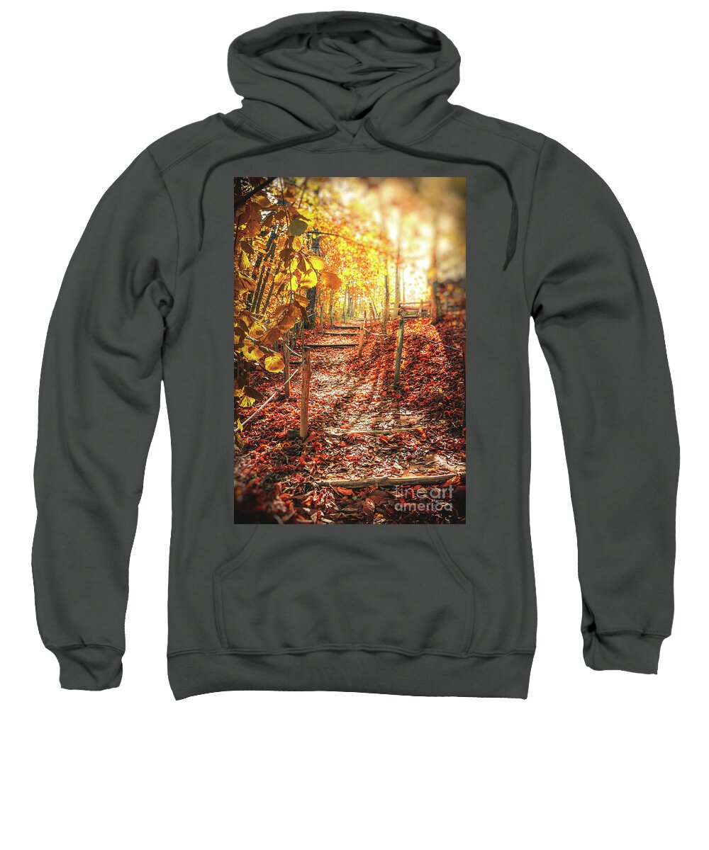 Autumn Sweatshirt featuring the photograph Autumn Path In The Woods Sunlight Morning Fall Vertical by Luca Lorenzelli