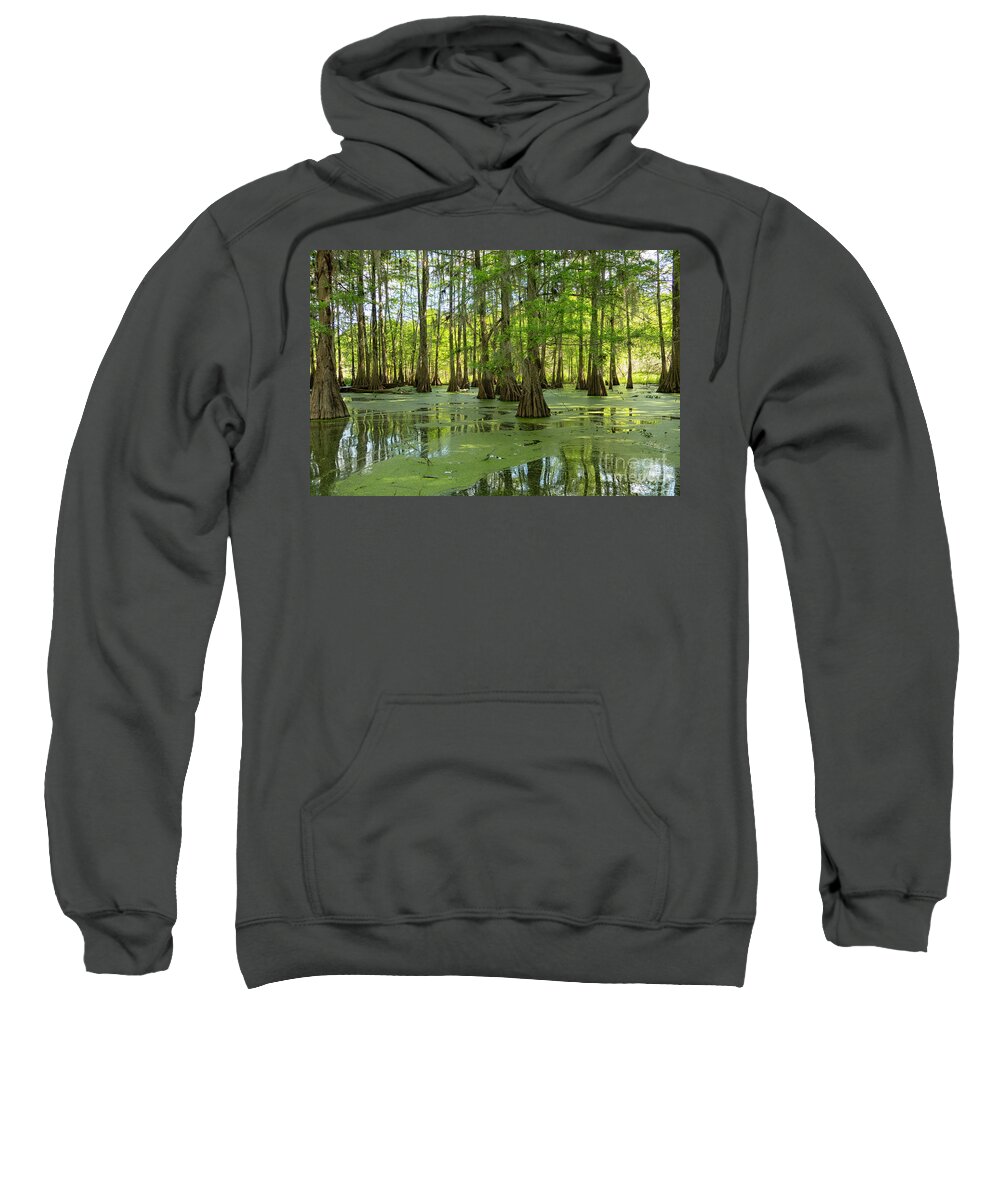 America Sweatshirt featuring the photograph Bald cypresses at Lake Martin, Louisiana by Patricia Hofmeester