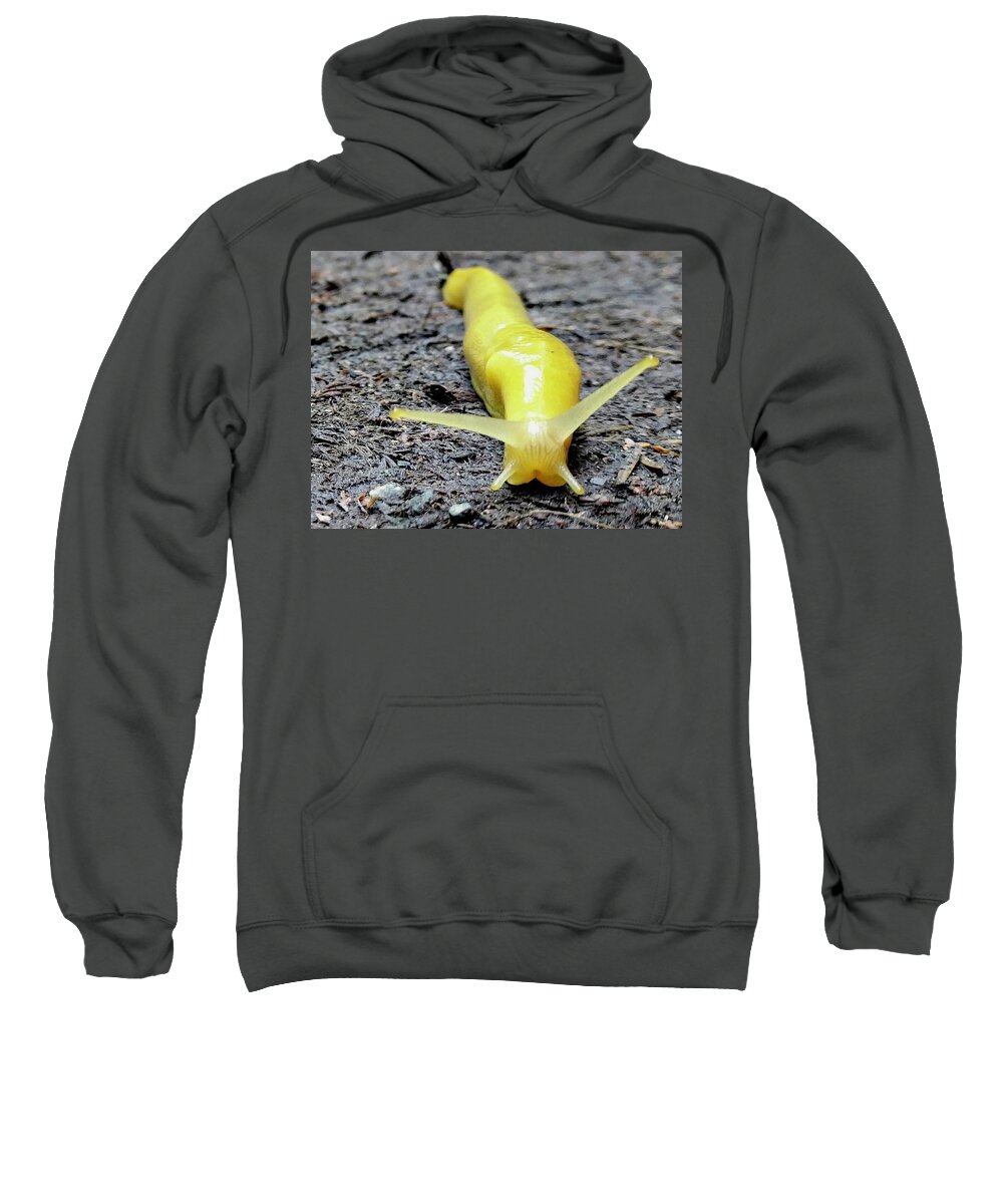 Yellow Sweatshirt featuring the photograph Banana Slug by Misty Morehead