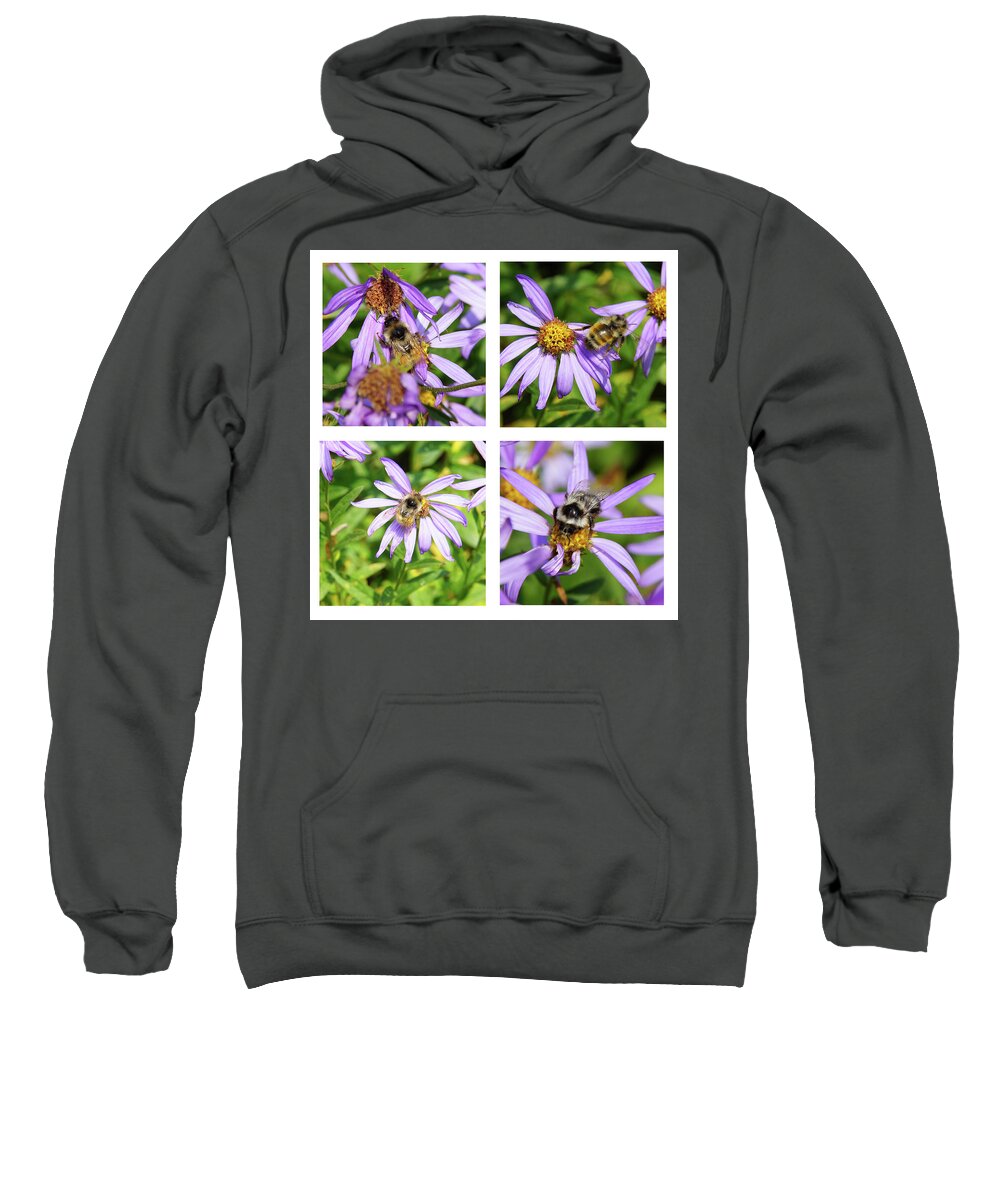 Alpine Sweatshirt featuring the photograph Bees collecting pollen on Alpine Aster by Steve Estvanik