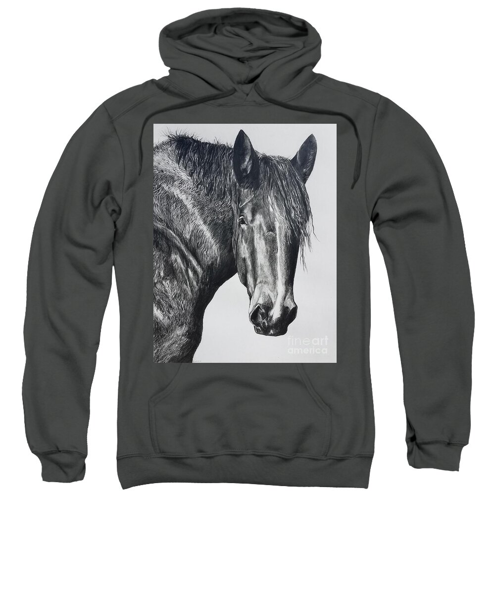 Horse Sweatshirt featuring the drawing Big Boy by Kathy Laughlin