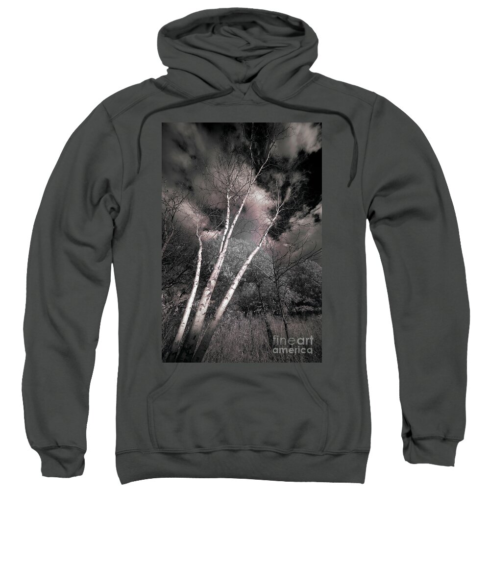 Atmospheric Phenomenon Sweatshirt featuring the photograph Birch Trees by Bill Frische