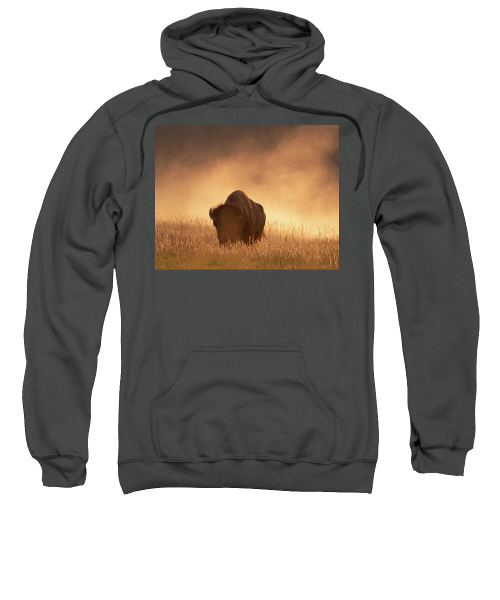 Bison Sweatshirt featuring the photograph Bison in the dust 2 by Mary Hone