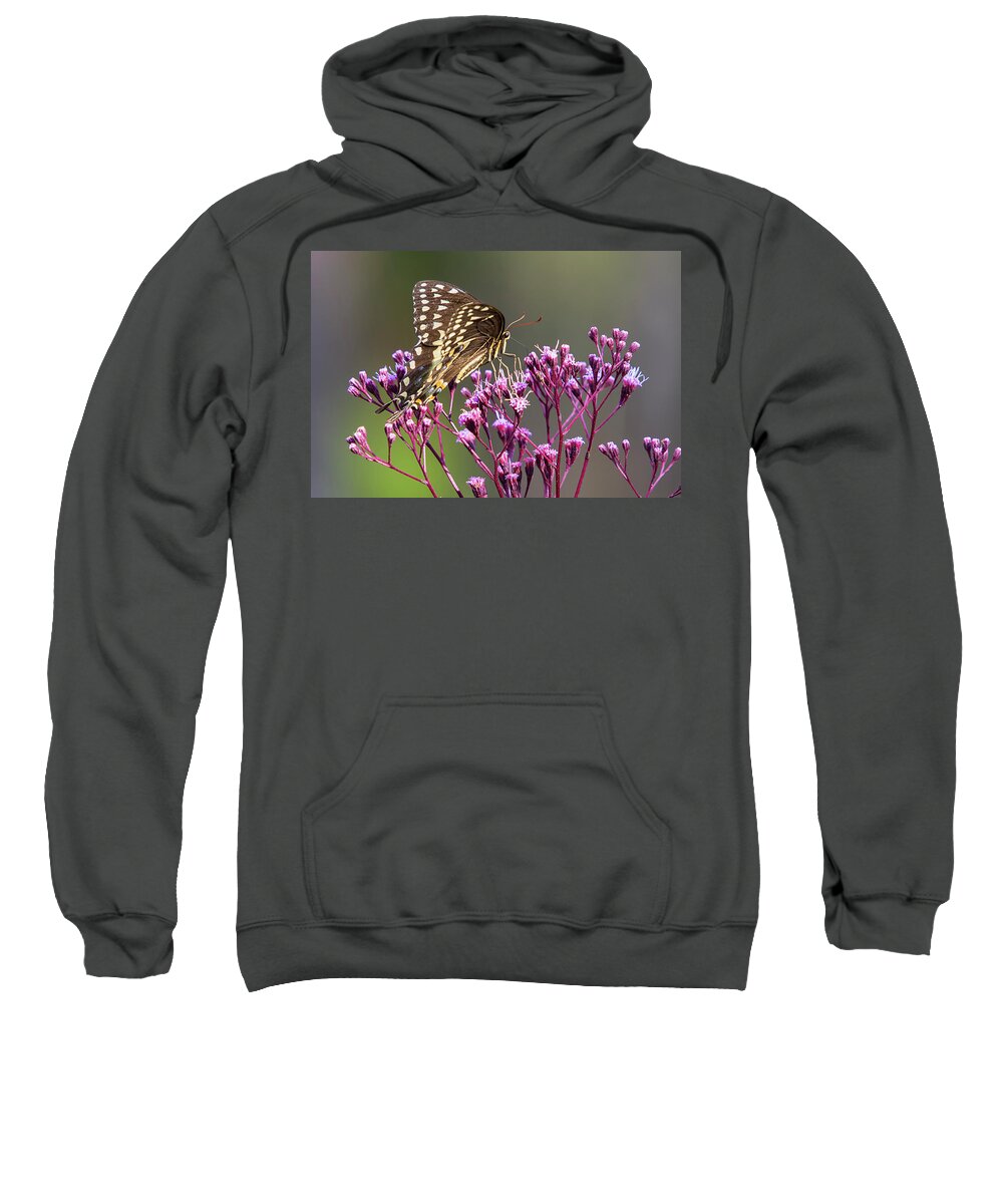 Butterfly Sweatshirt featuring the photograph Butterfly on Wild Flowers by Bob Decker