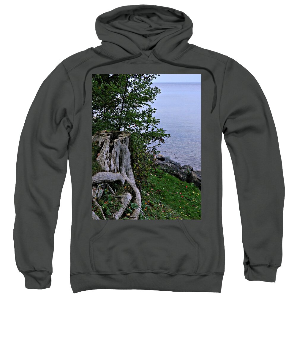 Can I Be Your Seat Sweatshirt featuring the photograph Can I Be Your Seat by Cyryn Fyrcyd