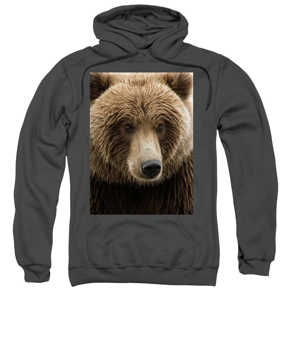 Wild Sweatshirt featuring the photograph Coastal Brown Bear closeup by Gary Langley