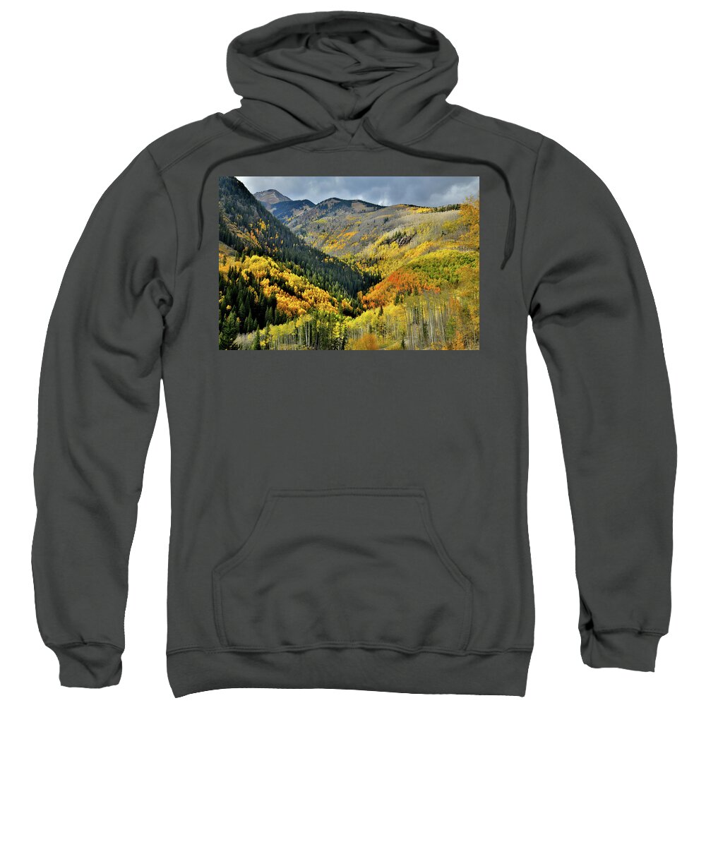 Highway 145 Sweatshirt featuring the photograph Color Spotlights along Highway 145 in CO by Ray Mathis