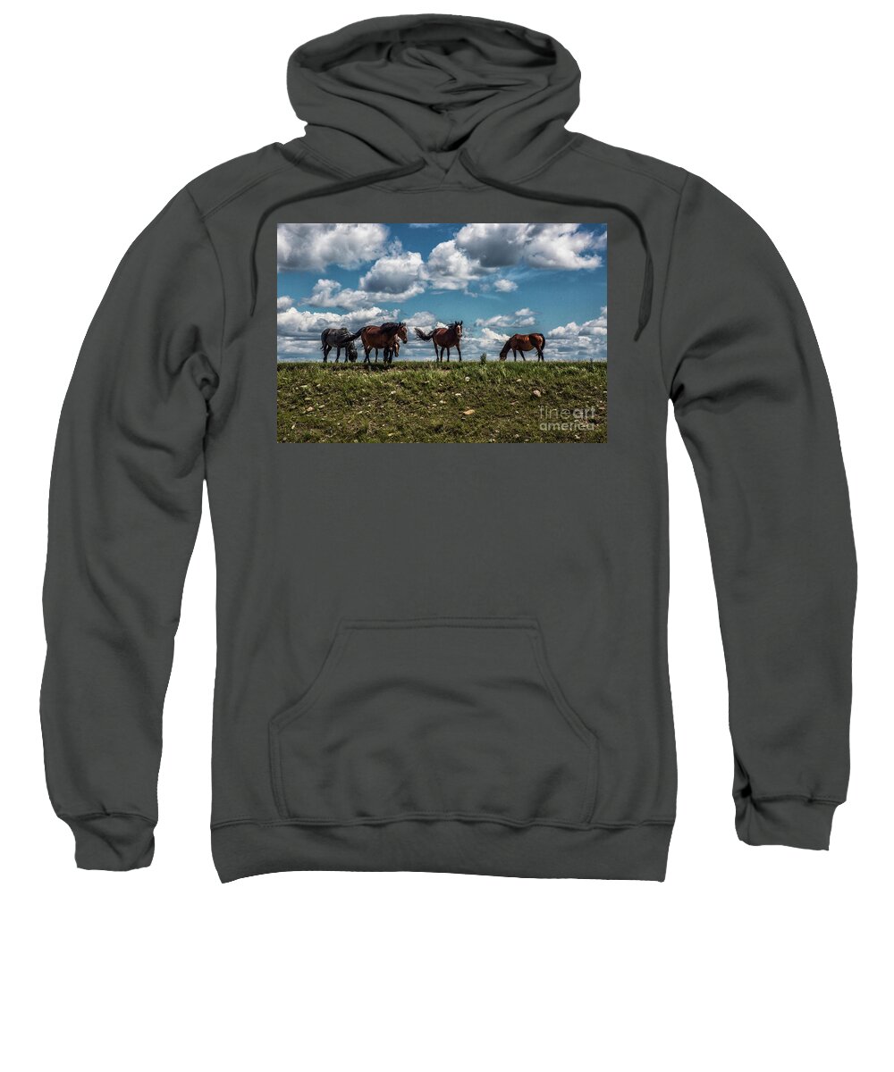 Horses Sweatshirt featuring the photograph Conflab on a Hilltop by Kathy McClure