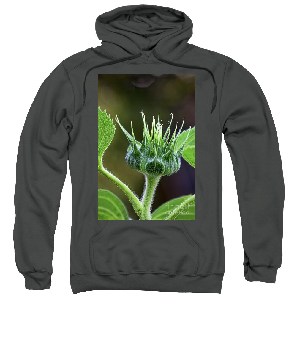 Sunflower Sweatshirt featuring the photograph Crowned Princess by Joan Bertucci