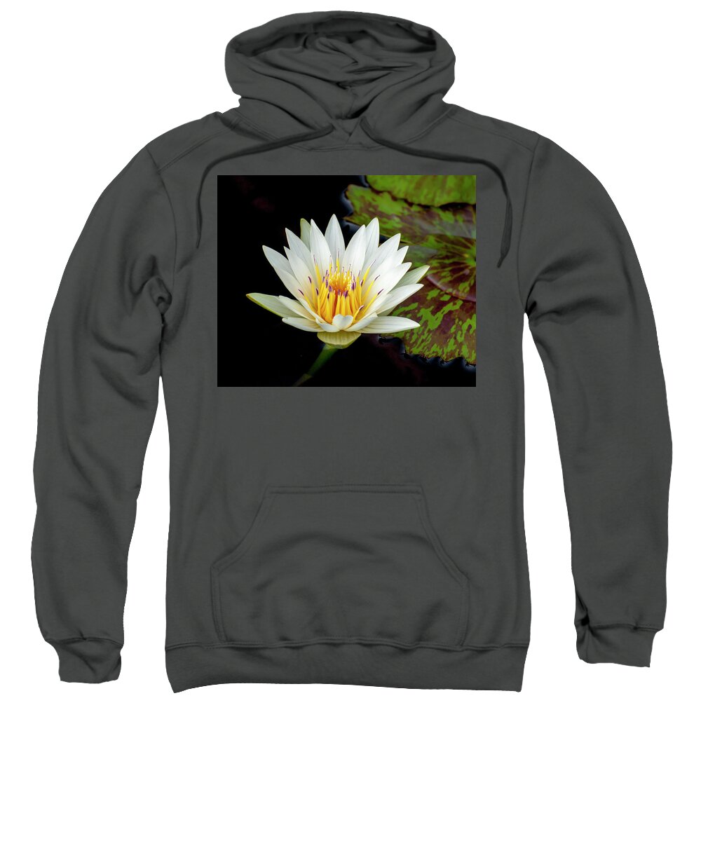 Lily Sweatshirt featuring the photograph Crystal Lily by Ginger Stein