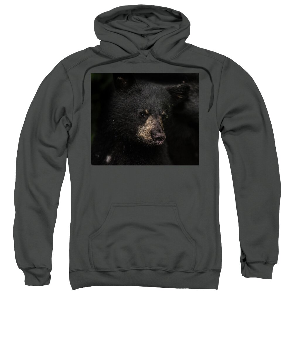 Bear Sweatshirt featuring the photograph Cubby by David Kirby