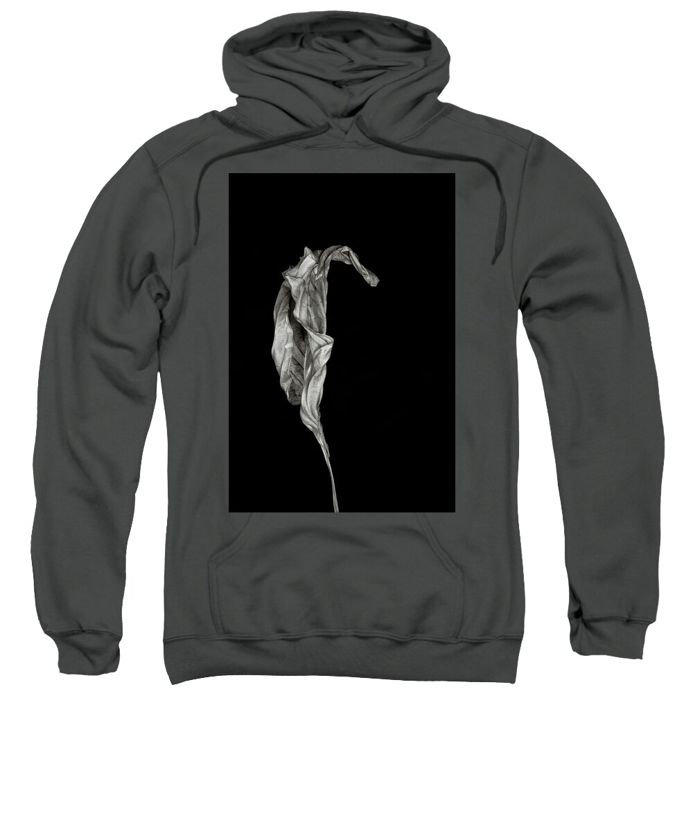  Sweatshirt featuring the photograph Decaying Leaf II by Mike Burgquist