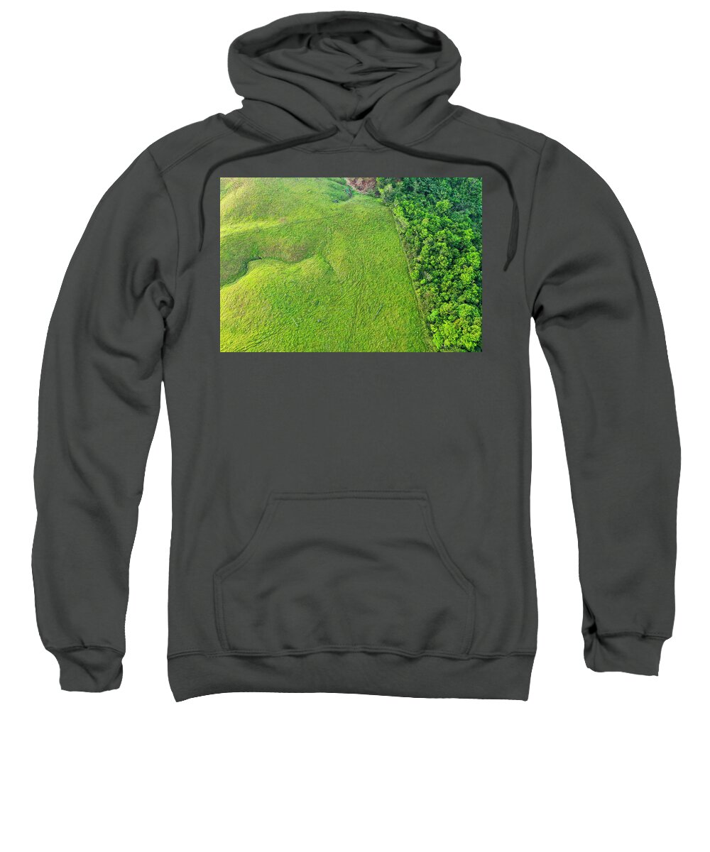 Sebastian Kennerknecht Sweatshirt featuring the photograph Deforested Pasture And Rainforest, Mamoni Valley by Sebastian Kennerknecht