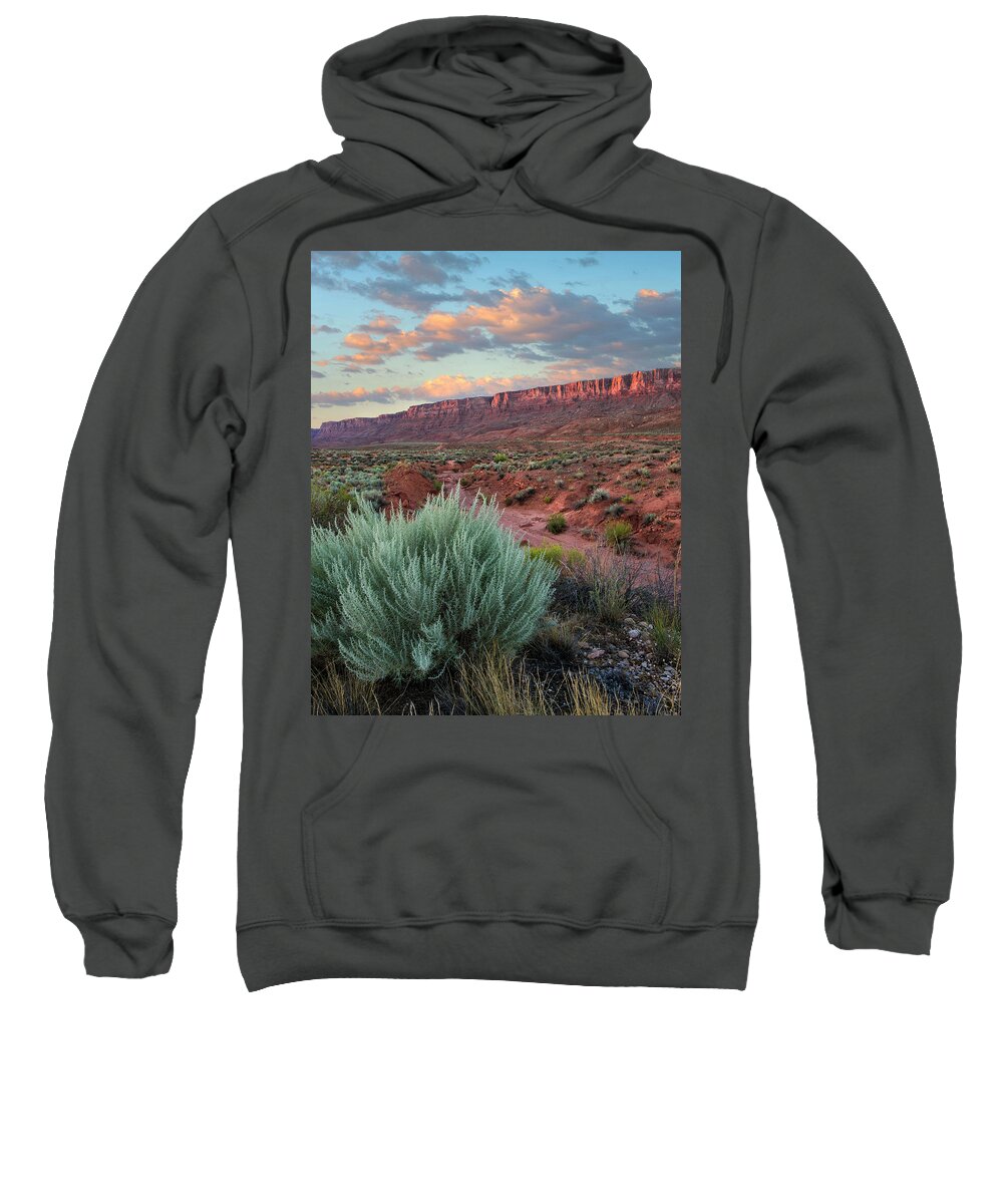 00574878 Sweatshirt featuring the photograph Desert And Cliffs, Vermilion Cliffs Nm #1 by Tim Fitzharris