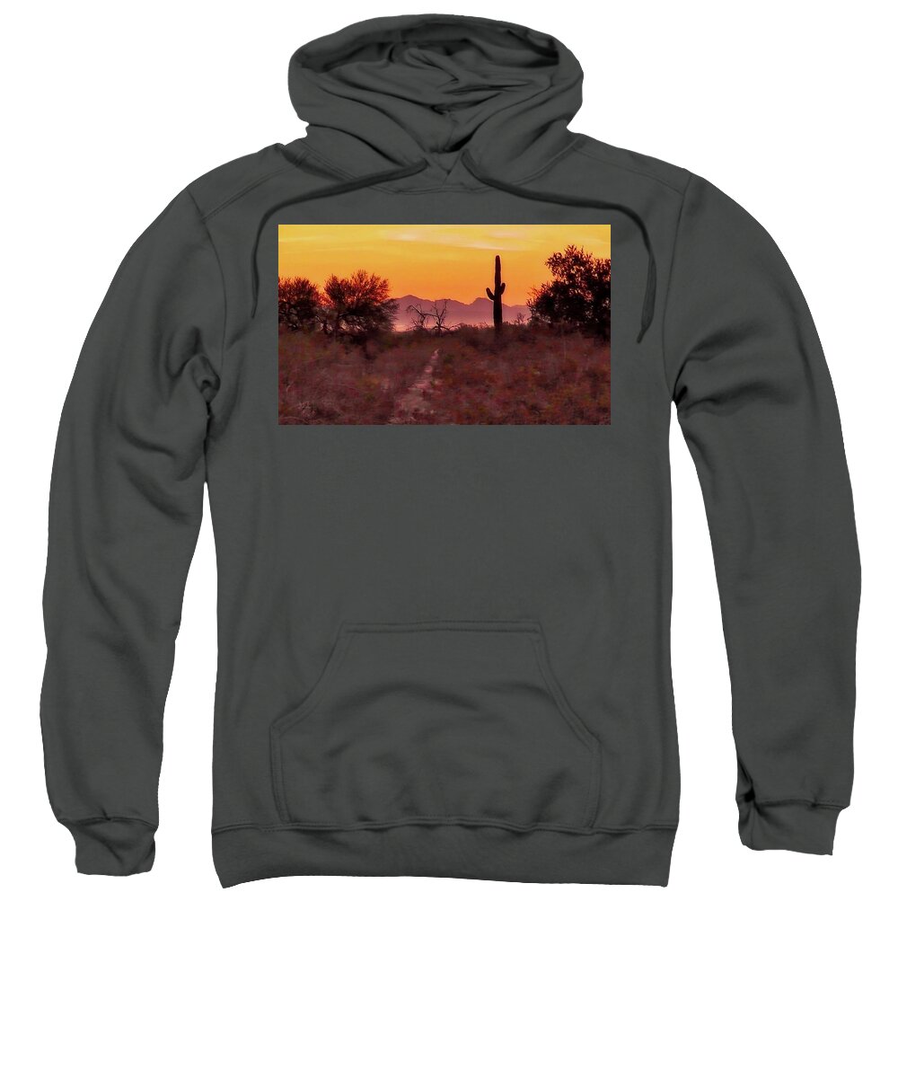 Affordable Sweatshirt featuring the photograph Desert Sunrise Trail by Judy Kennedy