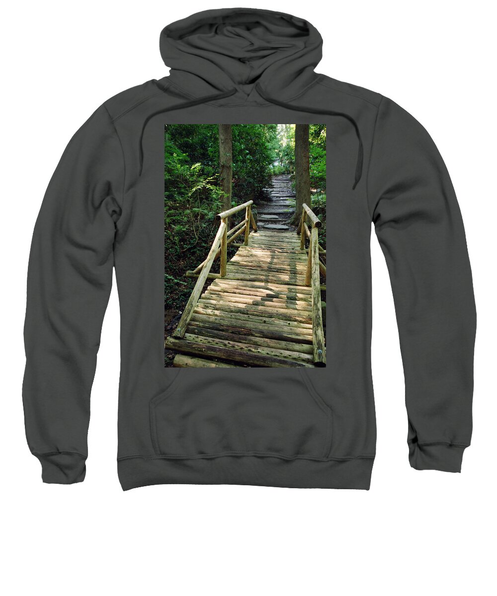 Landscape Sweatshirt featuring the photograph Dnrs1019 by Henry Butz