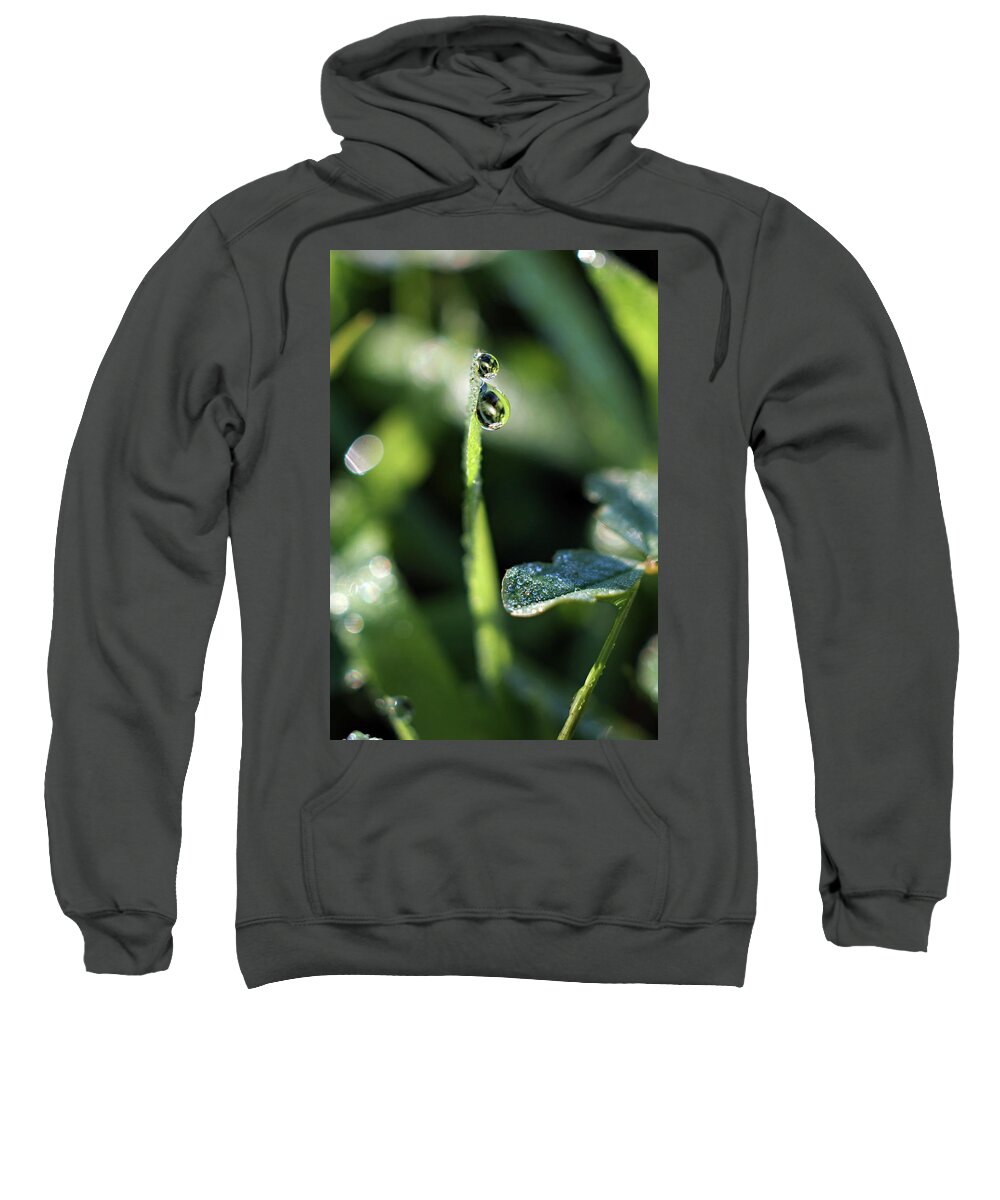 Dew Drops Sweatshirt featuring the photograph Double Vision by Michelle Wermuth