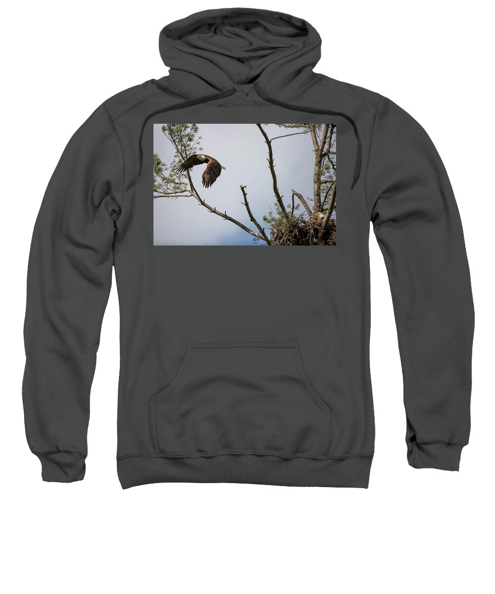 Sweatshirt featuring the photograph Eagle's Nest by Doug McPherson