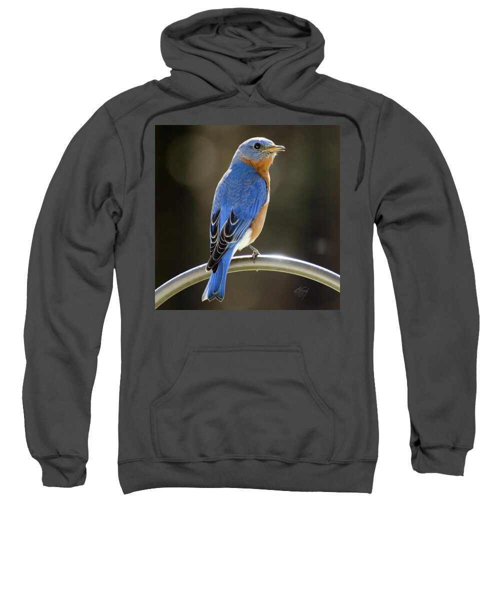 Eastern Bluebird Sweatshirt featuring the photograph Eastern Bluebird by Michael Frank