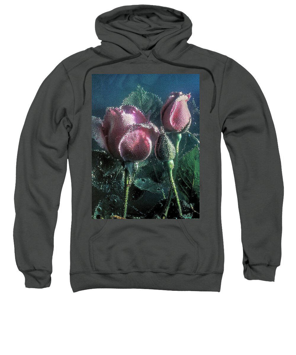 Bubbly Sweatshirt featuring the photograph Effervescence by Randall Dill