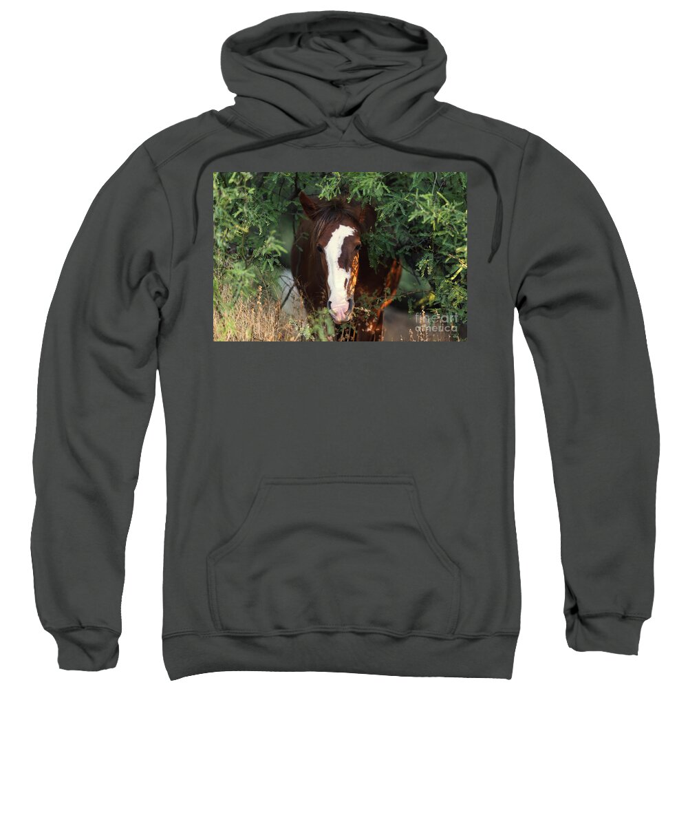 Mare Sweatshirt featuring the photograph Emerging by Shannon Hastings