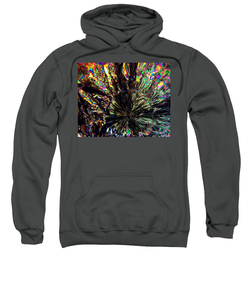  Sweatshirt featuring the photograph Entropy's Child by Rein Nomm