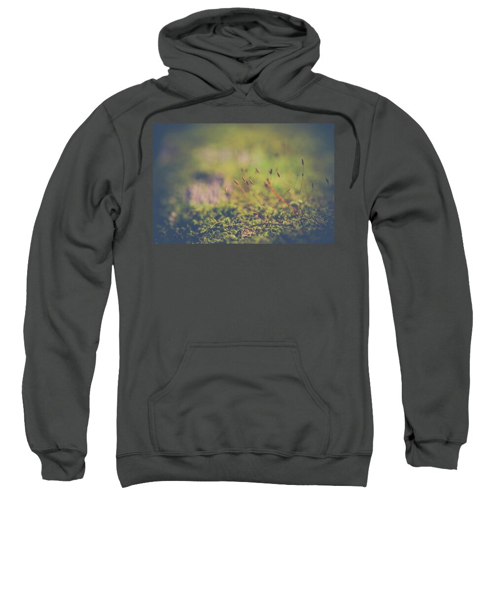 Macro Sweatshirt featuring the photograph Fairy Hunt by Michelle Wermuth