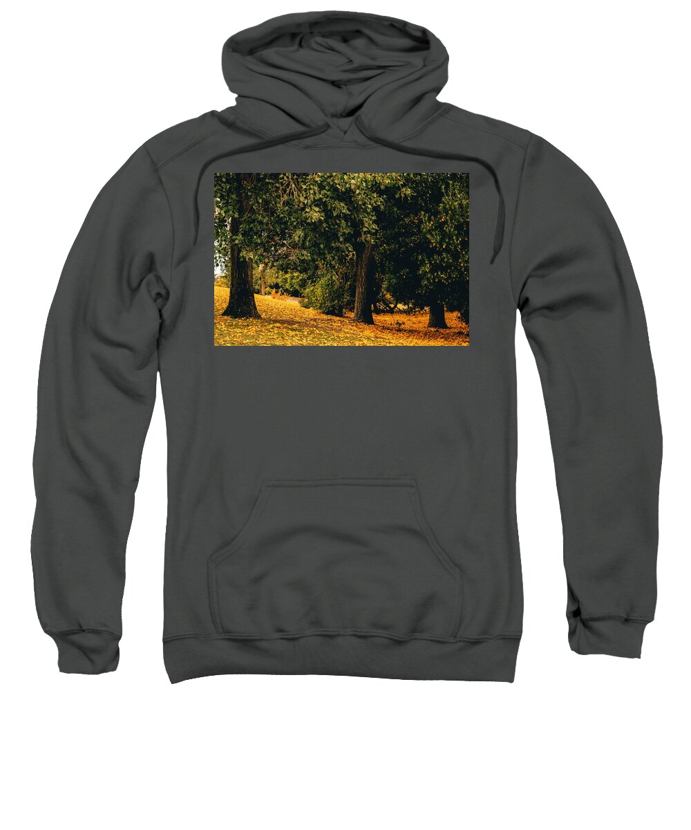 Fall Sweatshirt featuring the photograph Fall by Anamar Pictures