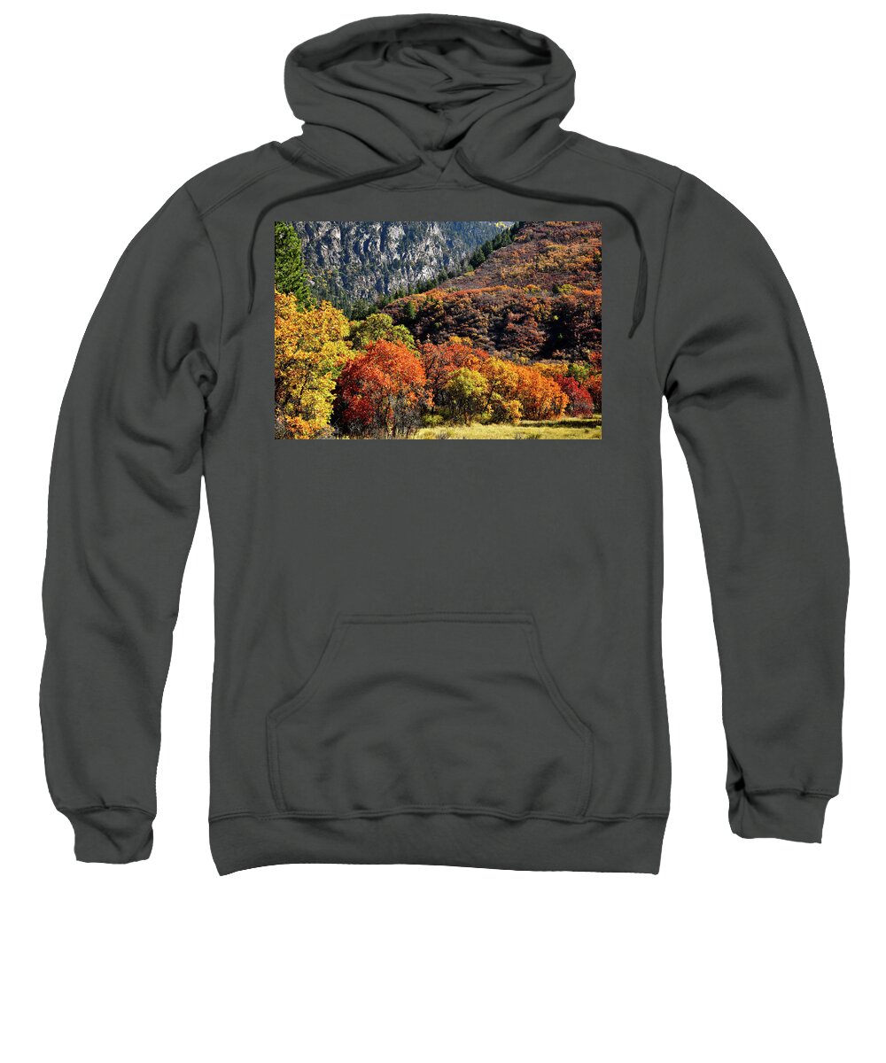 Colorado Sweatshirt featuring the photograph Fall Colored Oaks in Avalanche Creek Canyon by Ray Mathis