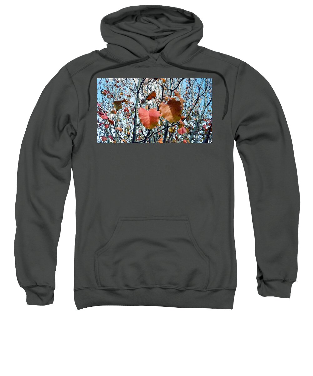 Fall Sweatshirt featuring the photograph Fall is Here by Ivars Vilums