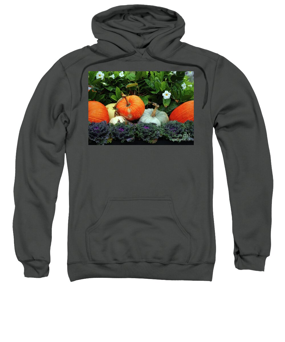 Pumpkins Sweatshirt featuring the photograph Fall Pumpkins by Terri Brewster