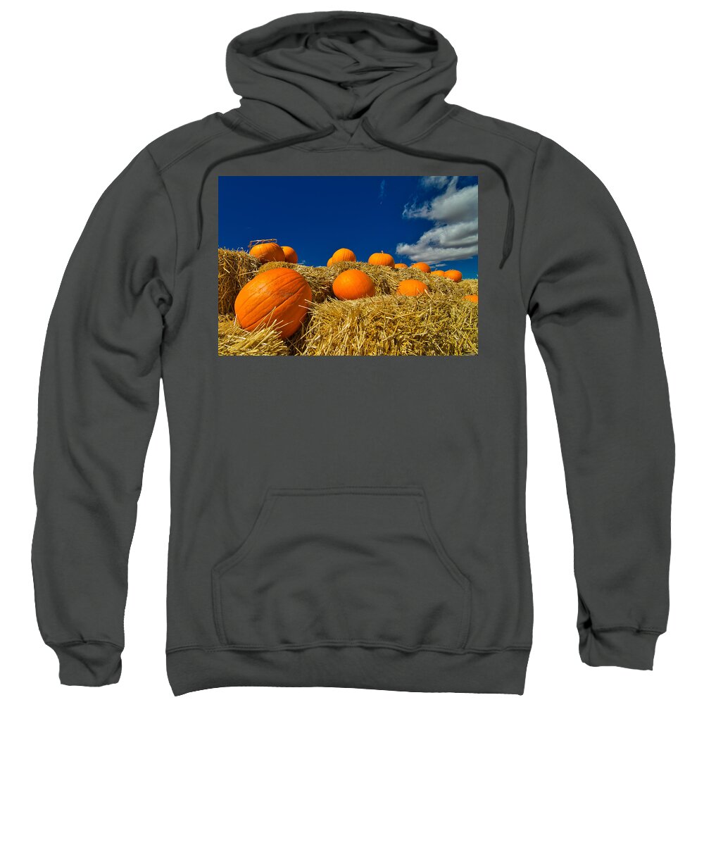 Pumpkins Sweatshirt featuring the photograph Fall Pumpkins by Tom Gresham