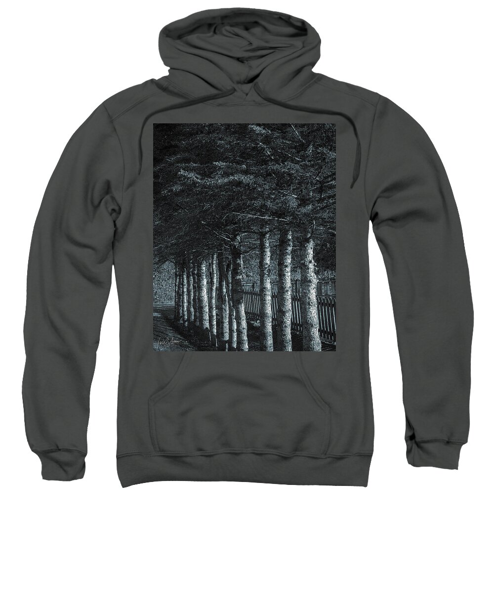 Pines Sweatshirt featuring the photograph Fences by Phil S Addis